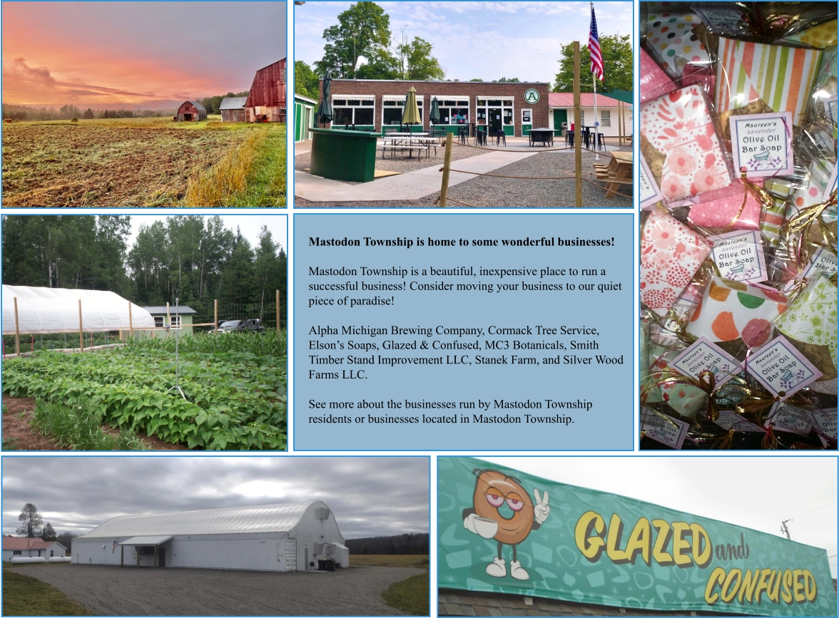 Mastodon Township is home to some wonderful businesses!  Mastodon Township is a beautiful, inexpensive place to run a successful business! Consider moving your business to our quiet piece of paradise!  Alpha Michigan Brewing Company, Cormack Tree Service, Elson’s Soaps, Glazed & Confused, MC3 Botanicals, Smith Timber Stand Improvement LLC, Stanek Farm, and Silver Wood Farms LLC.  See more about the businesses run by Mastodon Township residents or businesses located in Mastodon Township.