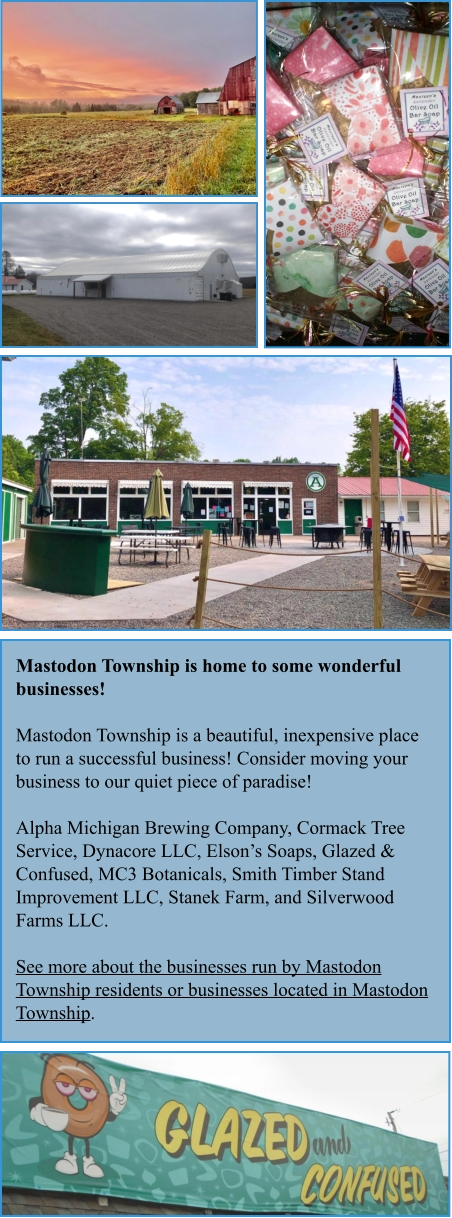 Mastodon Township is home to some wonderful businesses!  Mastodon Township is a beautiful, inexpensive place to run a successful business! Consider moving your business to our quiet piece of paradise!  Alpha Michigan Brewing Company, Cormack Tree Service, Dynacore LLC, Elson’s Soaps, Glazed & Confused, MC3 Botanicals, Smith Timber Stand Improvement LLC, Stanek Farm, and Silverwood Farms LLC.  See more about the businesses run by Mastodon Township residents or businesses located in Mastodon Township.