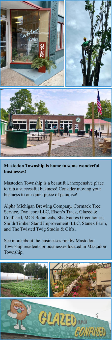 Mastodon Township is home to some wonderful businesses!  Mastodon Township is a beautiful, inexpensive place to run a successful business! Consider moving your business to our quiet piece of paradise!  Alpha Michigan Brewing Company, Cormack Tree Service, Dynacore LLC, Elson’s Track, Glazed & Confused, MC3 Botanicals, Shadyacres Greenhouse, Smith Timber Stand Improvement, LLC, Stanek Farm, and The Twisted Twig Studio & Gifts.  See more about the businesses run by Mastodon Township residents or businesses located in Mastodon Township.