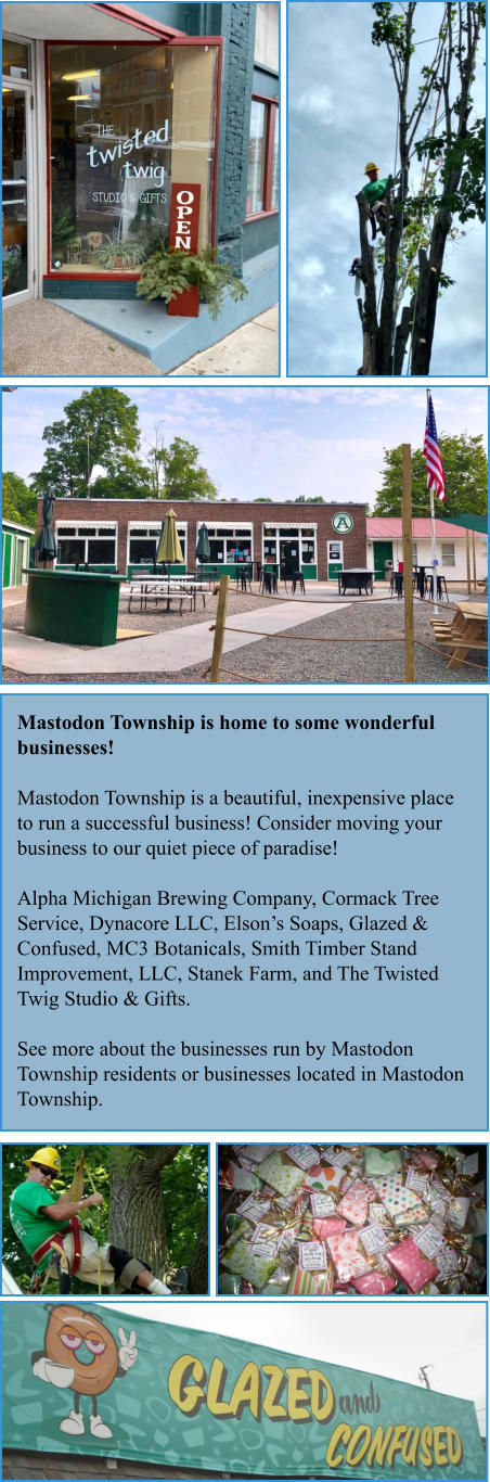 Mastodon Township is home to some wonderful businesses!  Mastodon Township is a beautiful, inexpensive place to run a successful business! Consider moving your business to our quiet piece of paradise!  Alpha Michigan Brewing Company, Cormack Tree Service, Dynacore LLC, Elson’s Soaps, Glazed & Confused, MC3 Botanicals, Smith Timber Stand Improvement, LLC, Stanek Farm, and The Twisted Twig Studio & Gifts.  See more about the businesses run by Mastodon Township residents or businesses located in Mastodon Township.